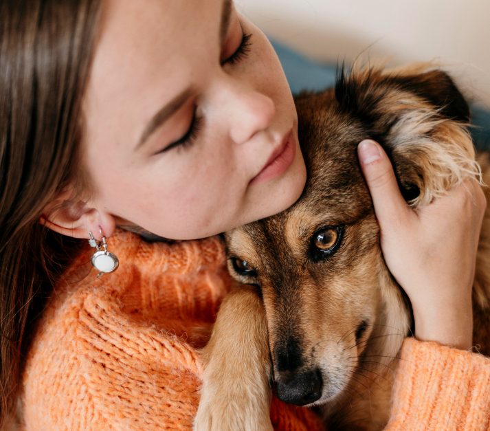 adopt a dog UK – ethical dog rehoming in the UK
